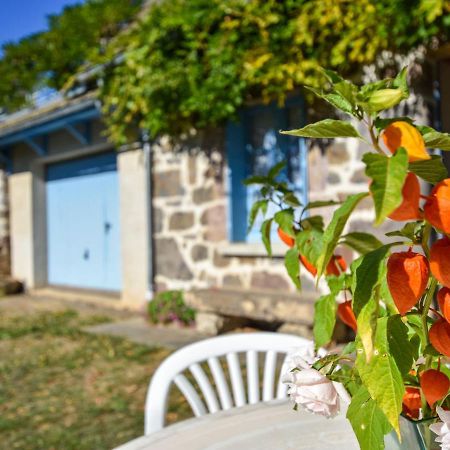 Beautiful Villa In The Parc Des Volcans D Auvergne Vic-sur-Cère Exterior foto