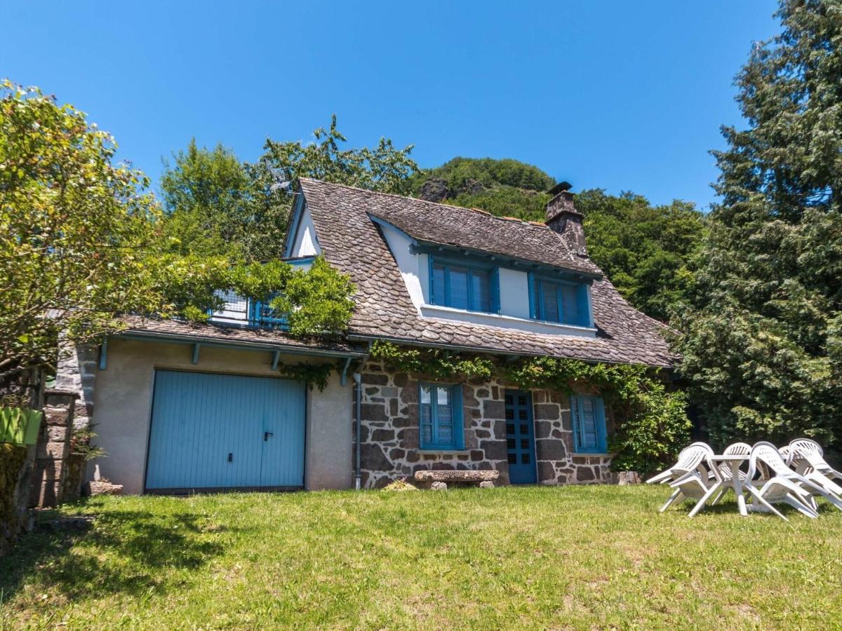 Beautiful Villa In The Parc Des Volcans D Auvergne Vic-sur-Cère Exterior foto
