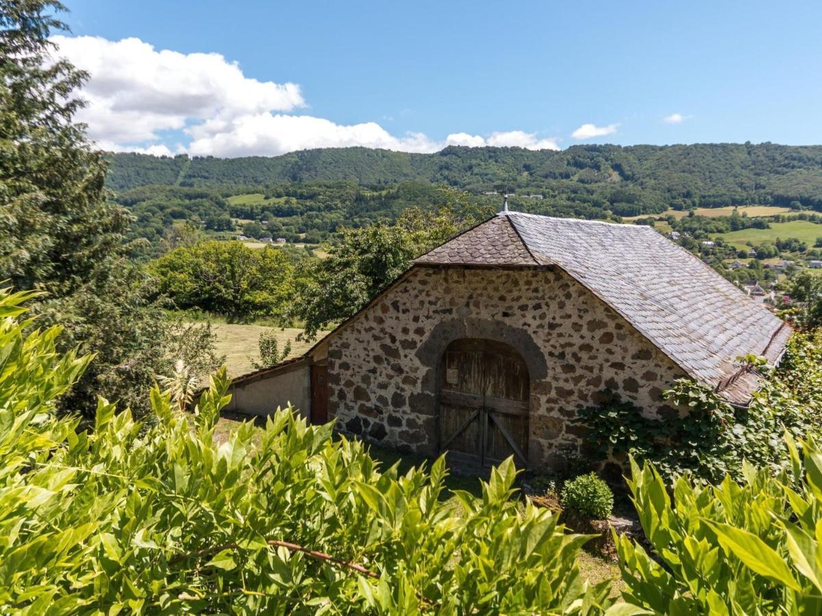 Beautiful Villa In The Parc Des Volcans D Auvergne Vic-sur-Cère Exterior foto