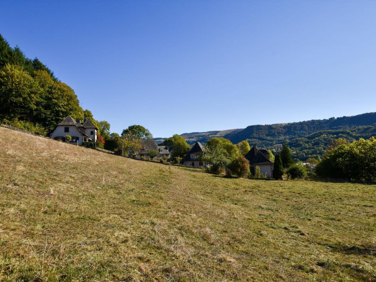 Beautiful Villa In The Parc Des Volcans D Auvergne Vic-sur-Cère Exterior foto