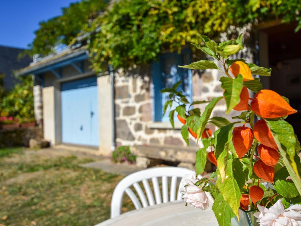 Beautiful Villa In The Parc Des Volcans D Auvergne Vic-sur-Cère Exterior foto
